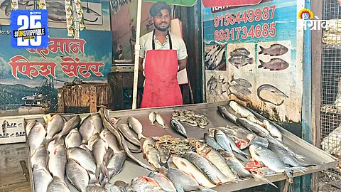 Fish Market