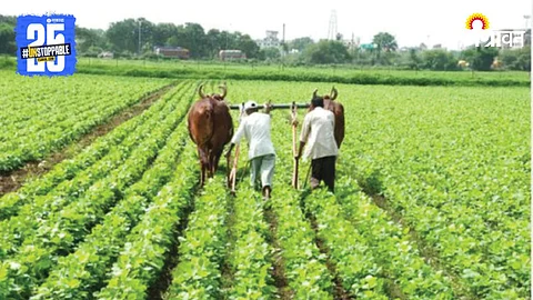 Agriculture Sowing