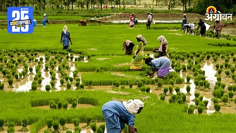 Agriculture