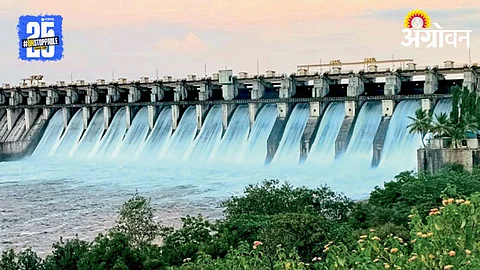 Ujani Dam