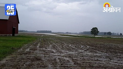 Nanded Rain