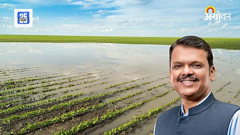 Crop Compensation