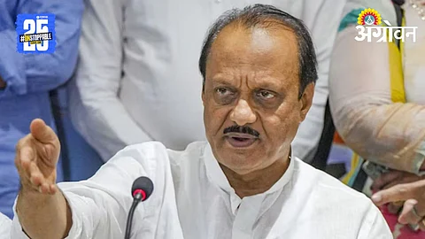 Manikrao Kokate Controversy