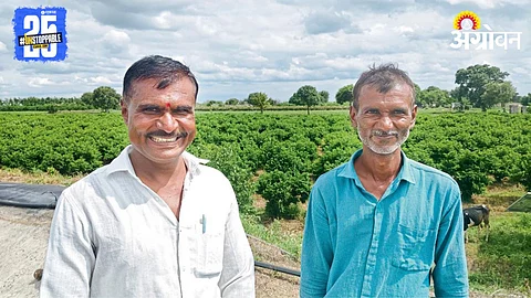 Agriculture Success Story