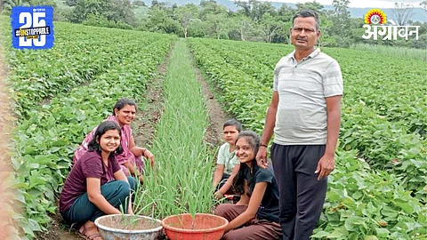 Sugarcane Farming : माजी सैनिकाची आदर्श ऊस शेती