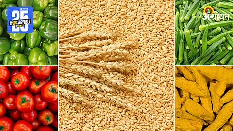 Agriculture Market Products