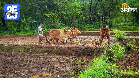 Kokan Agriculture
