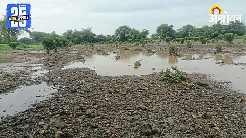 Heavy Rain Vidarbha