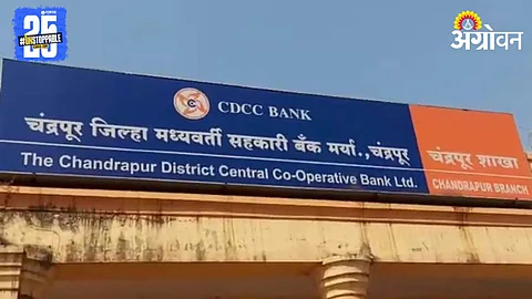 Chandrapur DCC Bank