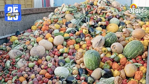 Fruits Waste
