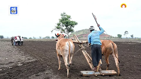 Kharif Sowing 2025