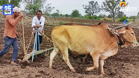 Kharif Sowing
