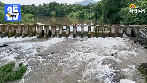 Maharashtra Rain: राज्यात पावसाचा जोर वाढला