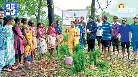 Group Farming