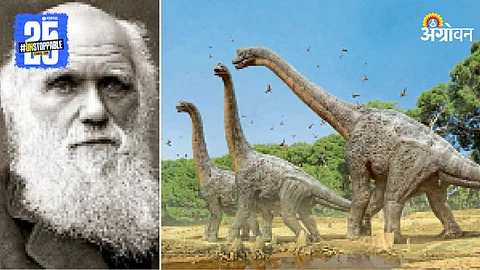 Darwin Theory
