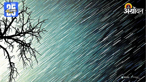 Rain Update