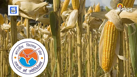 GM Crop Import