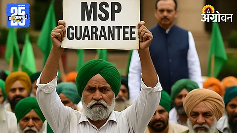 MSP Committee