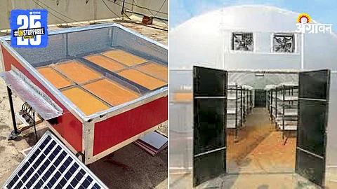Solar Dryer