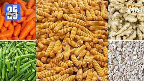 Agriculture Market Products