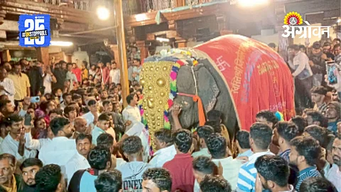 Nandani Math Elephant