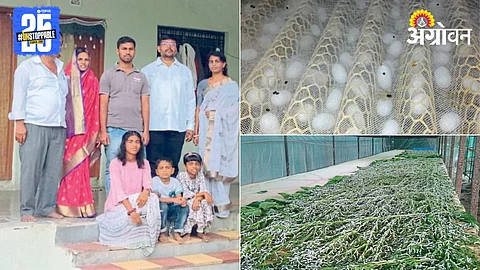 Silk Farming