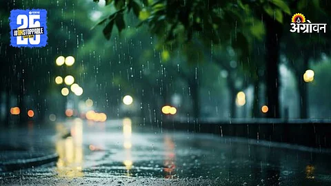 Rain Update