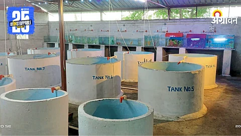 Fish Farming