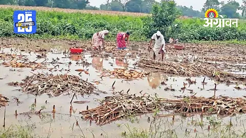 Parbhani Farmers