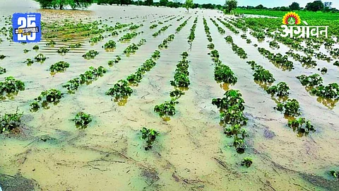 Farmer Compensation