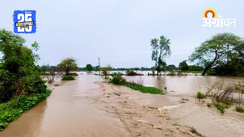 Akola Rain