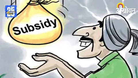 Subsidy Fraud: