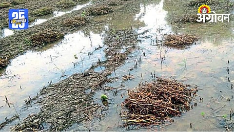 Nagpur Heavy Rain