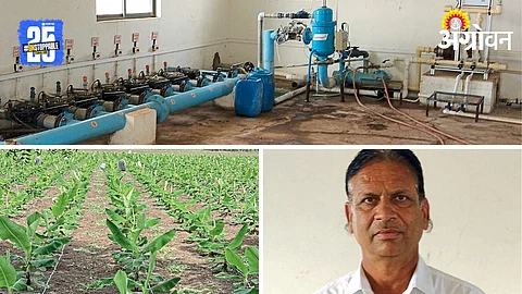 Automation In Farmin