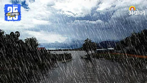 Rain