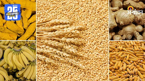 Agriculture Commodity Rates