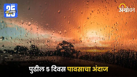 Rain Forecast