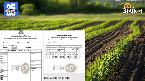 Land Record