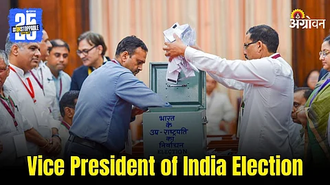 Vice President Election