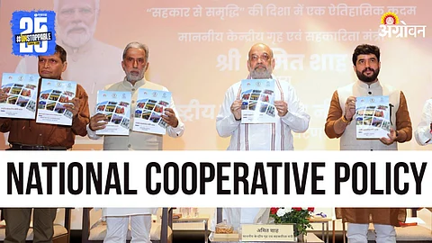 National Cooperative Policy