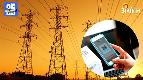 Online Electricity Bill