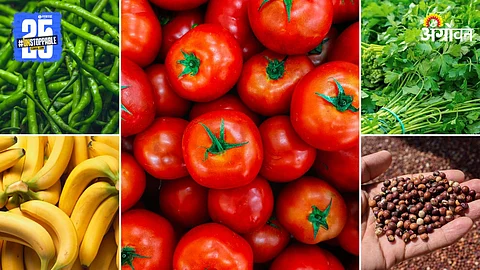 Market Products