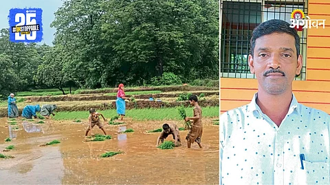 Paddy Farming