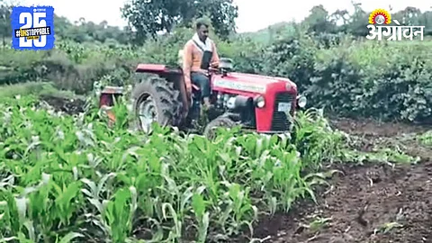 Crop Damage