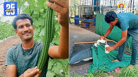 Rural Youth Farming