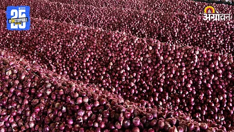 Onion Procurement