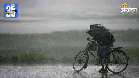 Maharashtra Rain