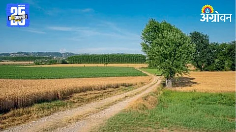 Farm Road