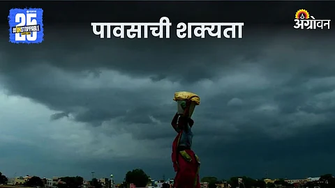 Monsoon Rain