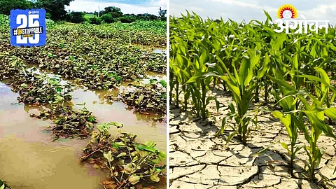 Uneven Rainfall